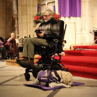 Assistance dog lying on their purple dog blanket as their partner addresses the crowd