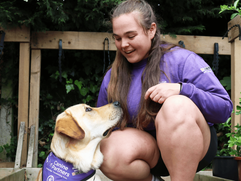 Assistance dog looking up at their trainer