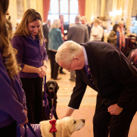 The Duke of Gloucester greeting members of the Canine Partners Dog Ambassador Team at the Windsor Castle event