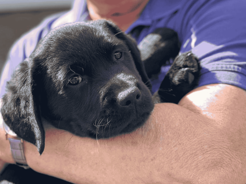 Lady holding black poppy