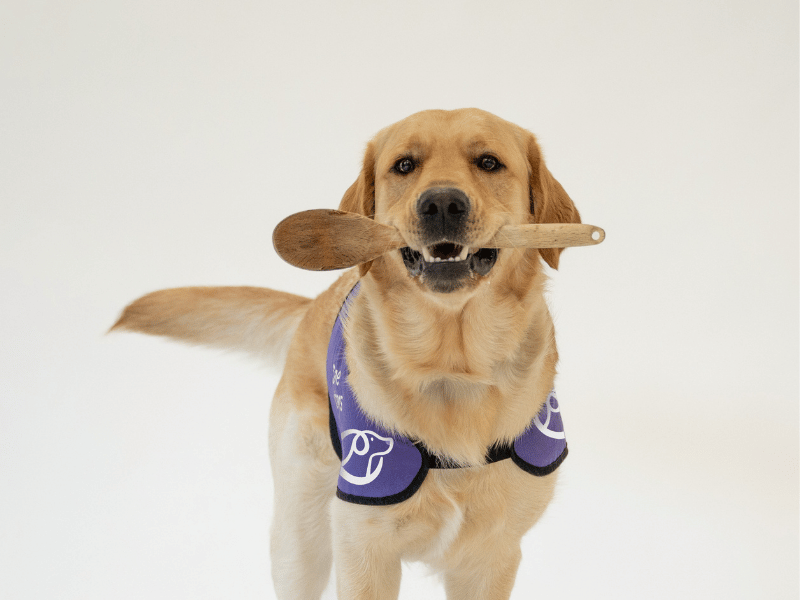Canine Partners Dog Friendly Afternoon Tea