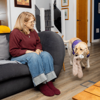 Assistance dog Shelley assisting their partner Meikle at home