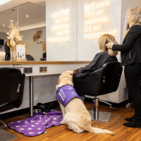 Assistance dog Shelley assisting their partner Meikle at the hairdresser.