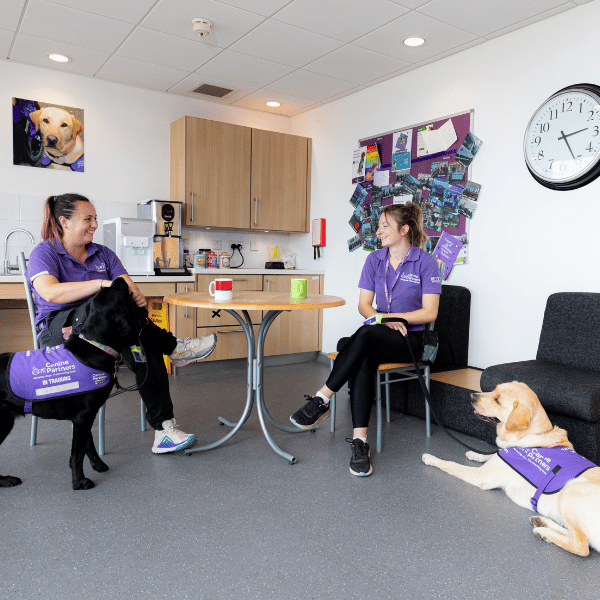 Two trainers sitting with dogs in training in the National Training Centre kitchen area