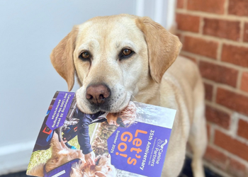 Yellow Labrador holding a Canine Partners magazine in its mouth
