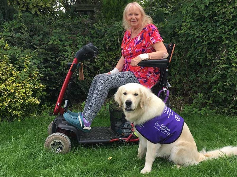 Lady in wheelchair with golden retriever in purple jacket sat next to her