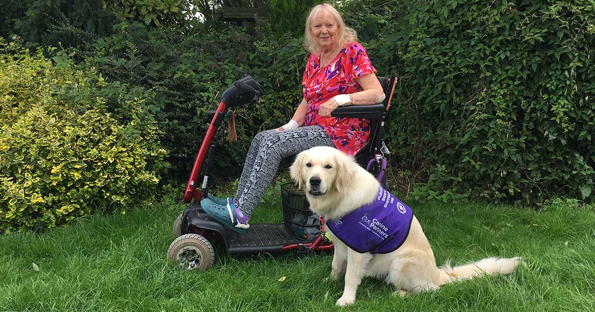 Lady in wheelchair with golden retriever in purple jacket sat next to her