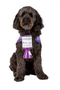 CaninePartners-443 low res