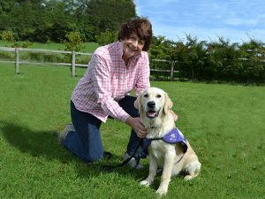 site_imagery_Pam_Ayres - Canine Partners