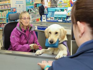 Assistance dog handing purse to cashier for woman in a wheelchair
