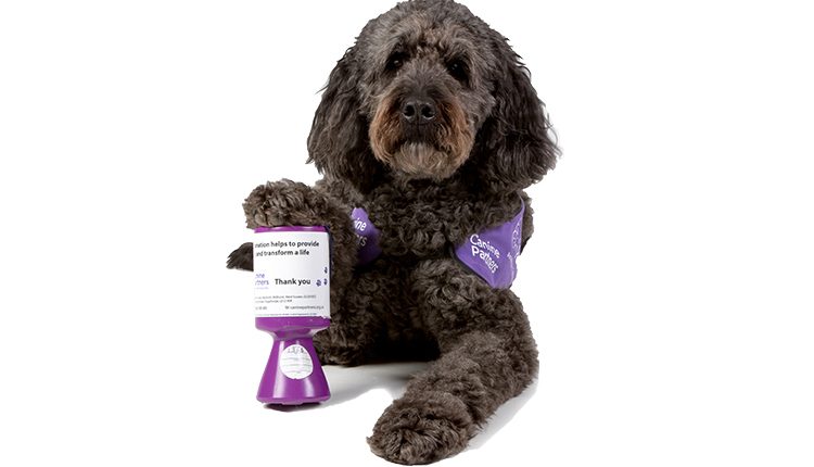 Canine Partners demonstration dog Doyle with fundraising tin