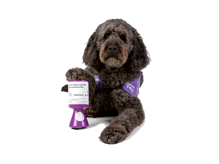 Canine Partners demonstration dog Doyle with fundraising tin