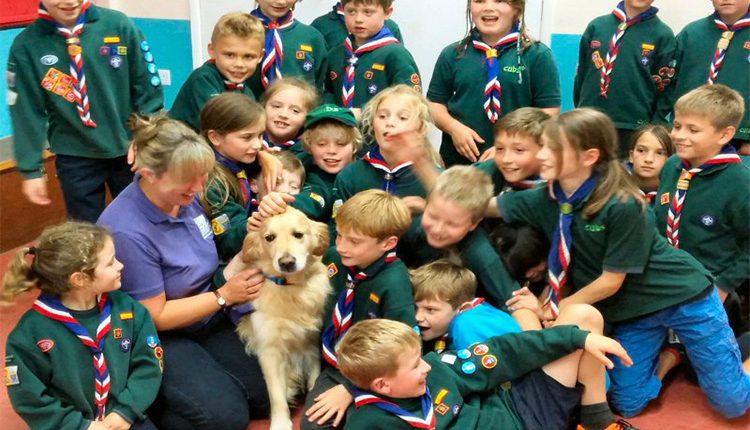 Billingshurst cubs fusses meet and great dog Jenson