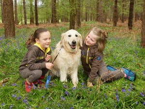 site_imagery_events_Bluebell_walk_brownies