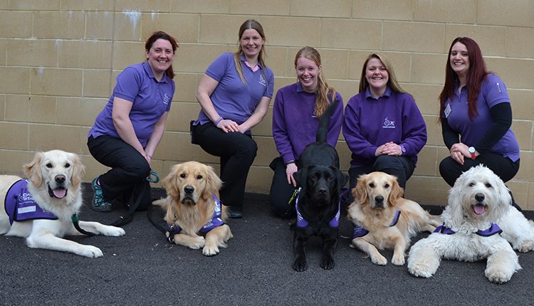 Canine Partners Midlands team based in Leicestershire posing with assistance demonstration dogs