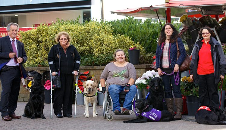 Assistance dogs from Hearing Dogs for the Deaf, Guide Dogs, Canine Partners and Medical Assistance Dogs