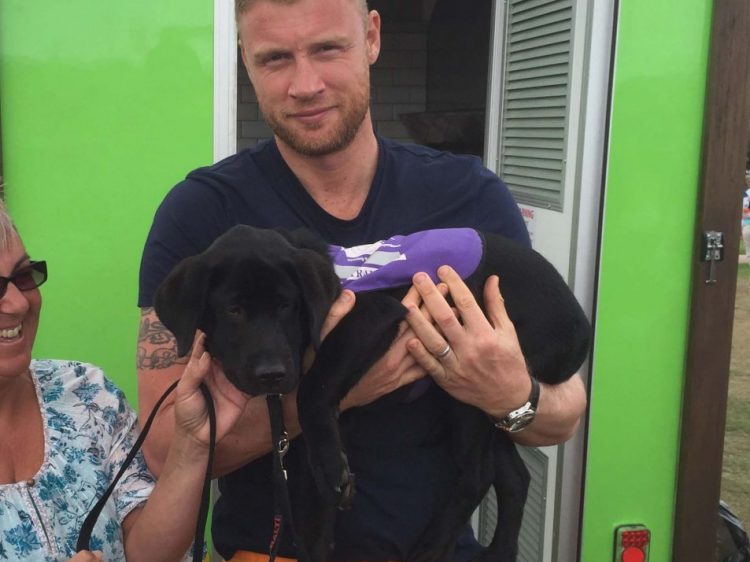 Cricketer Andrew Flintoff with Canine Partner puppy Wallis