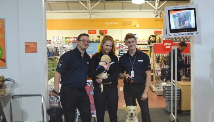 Pets Corner staff at Brighton Racecourse posing with assistance dog puppies in training