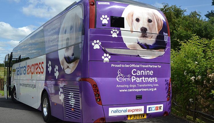 are dogs allowed on national express buses