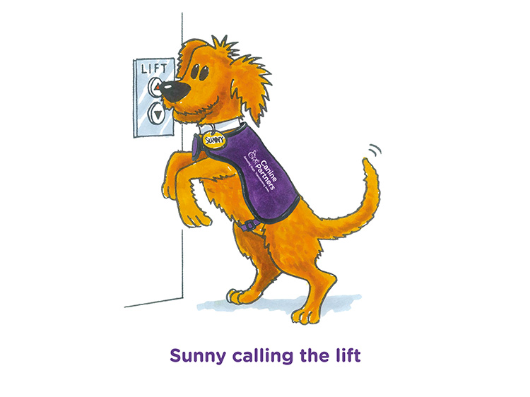 Cute cartoon dog Sunny pressing the button for the lift, a task very difficult for some people with physical disabilities