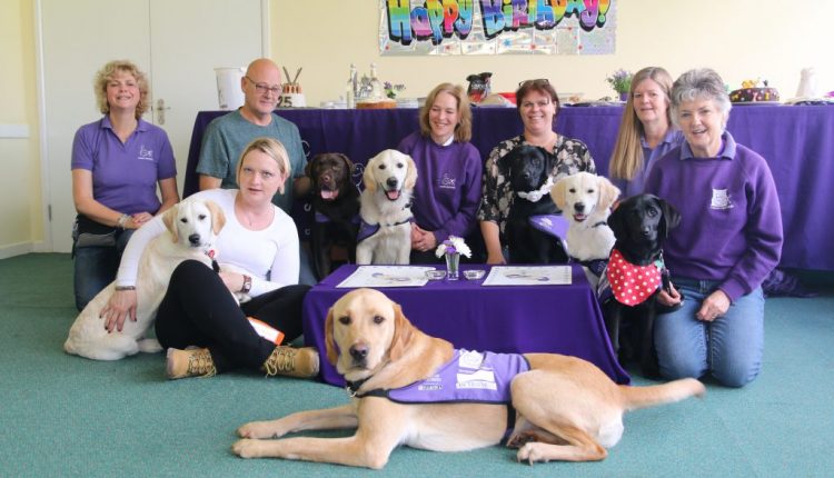 Somerset puppy group sat with dogs celebrating their 25th anniversary