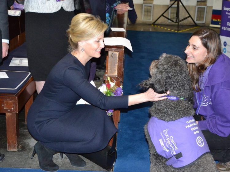 HRH The Countess of Wessex meeting demo dog Doyle and Aftercare Manager Claire