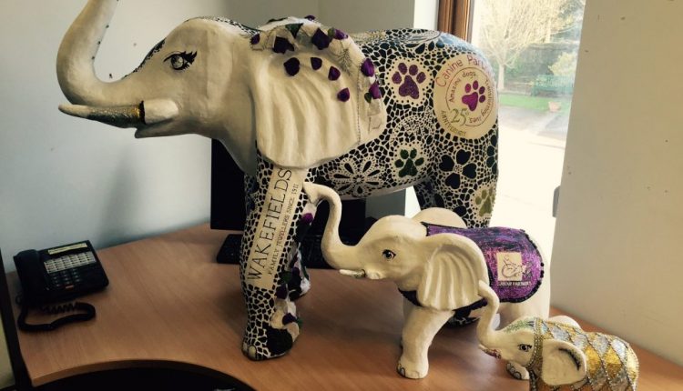 Exotic elephant figures - one with a Canine Partners purple jacket