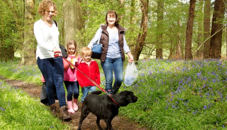 Two women with children walking dog in Bluebell woods