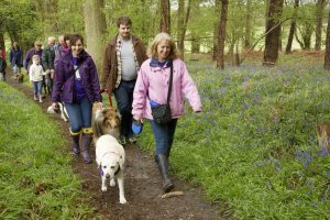 Big Heyshott Bluebell Walk (56)