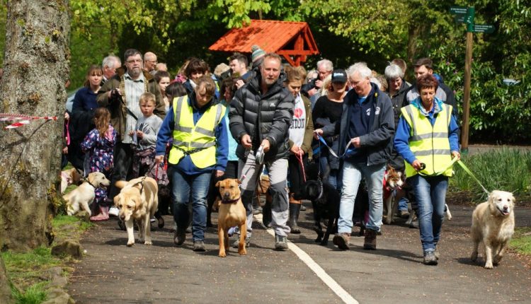 Group of dog walkers raising money for Canine Partners