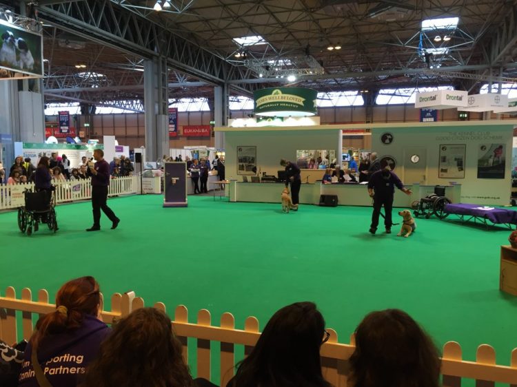 Canine Partners assistance dogs demonstration at Crufts