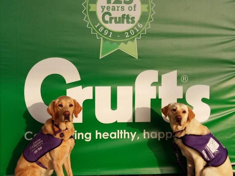 Assistance dogs Erin and Fiona stood in front of Crufts sign