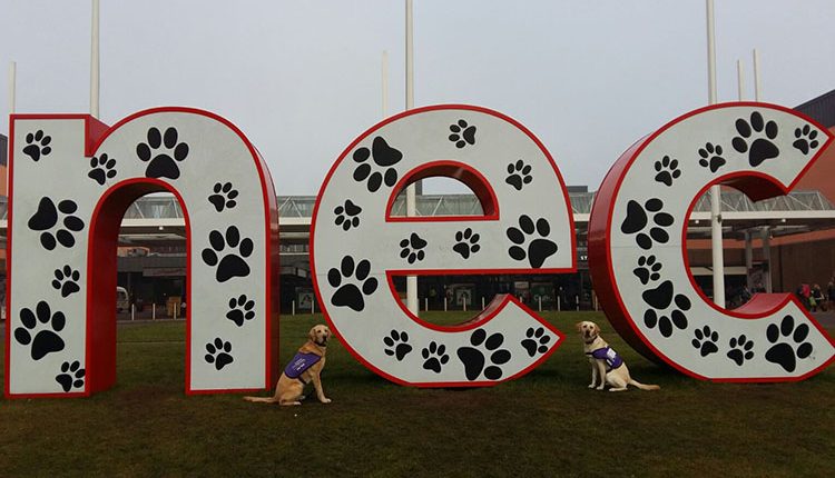 Two Canine Partners demonstration dogs sat in front of nec sign for Crufts