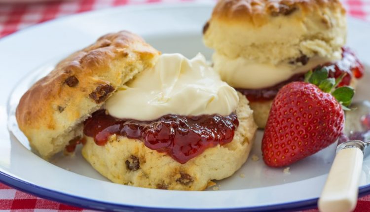 Scones and jam for afternoon tea