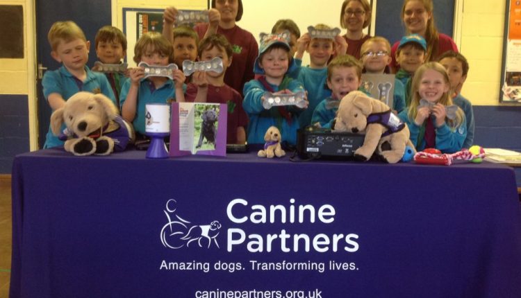 Haslemere Beaves stood behind Canine Partners display