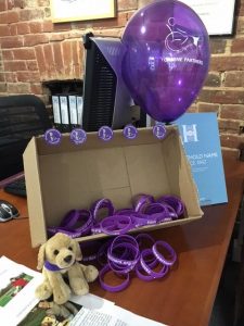 Canine Partners wristbands and soft toy on display in Humberts Estate Agents branch