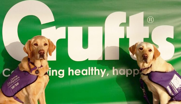 Canine Partners Erin and Fiona at Crufts Dog Show