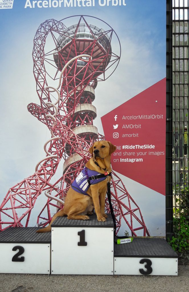 London Abseil At The Arcelormittal Orbit Canine Partners