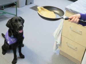 Dog friendly pancakes being flipped whilst Canine Partners puppy in training watches