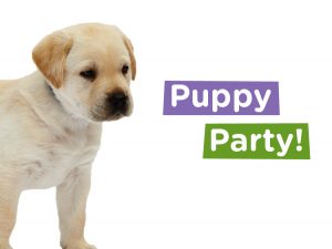 Canine Partners Puppy Party event 2017 meet puppies in training