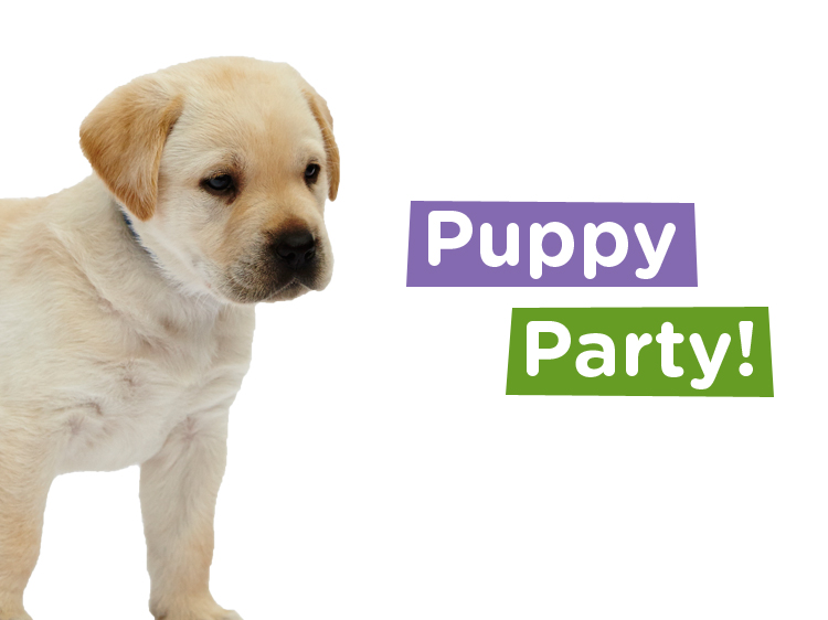 what is a puppy party