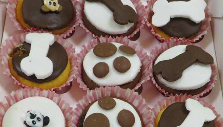 Derby High School charity bake sale Canine Partners