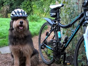 Prudential London Ride Surrey 100 for Canine Partners