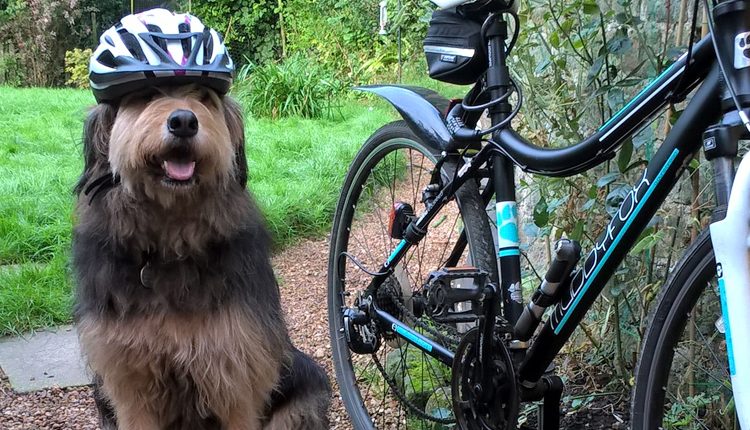 Prudential London Ride Surrey 100 for Canine Partners