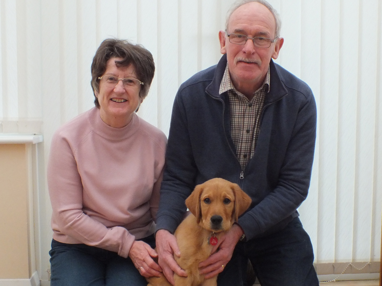 Puppy walkers Chris and Phil Cooper with Canine Partners puppy in training