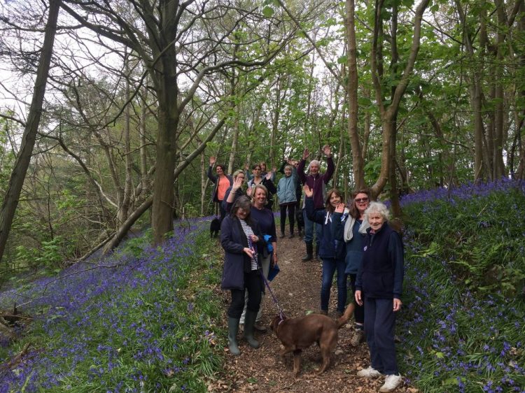 Group embarking on the Canine Partners Riverhill Bluebell Walk