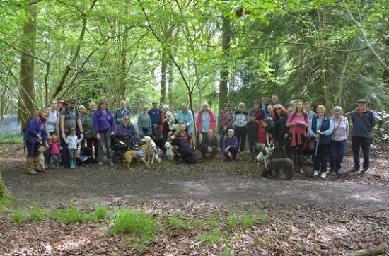 Canine Partners Martinshaw Wood Bluebell Walk 2018