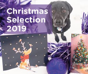 Christmas gift selection 2019