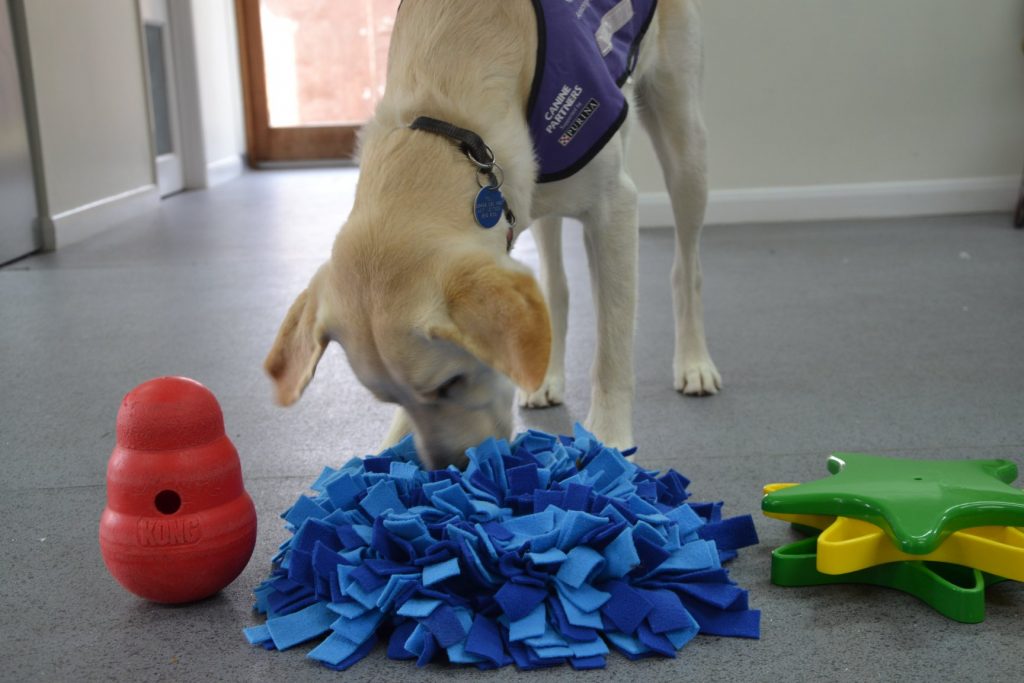 Get creative and make a snuffle mat! Canine Partners