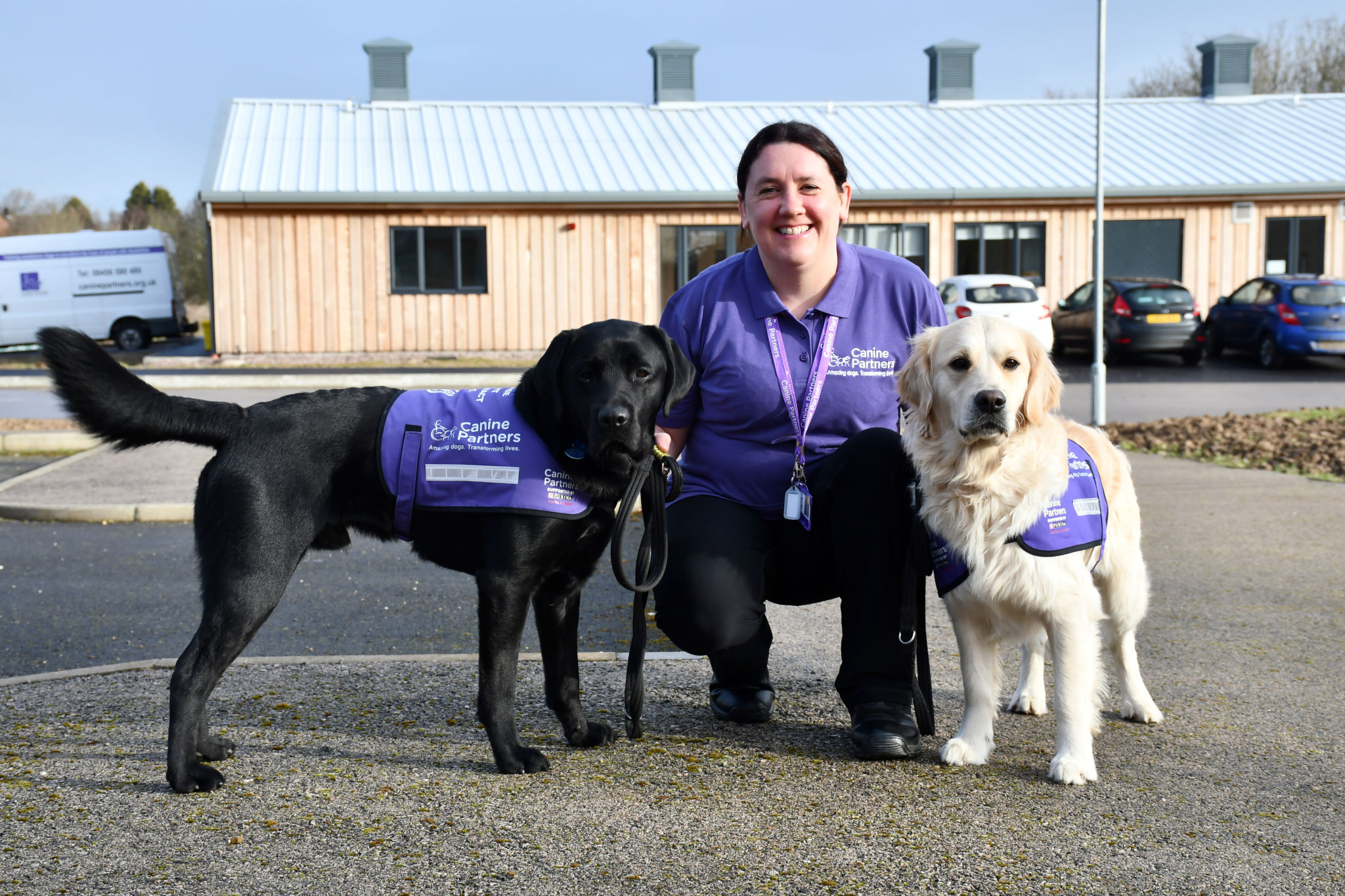 Canine Partners trainer with a golden retriever and black labrador